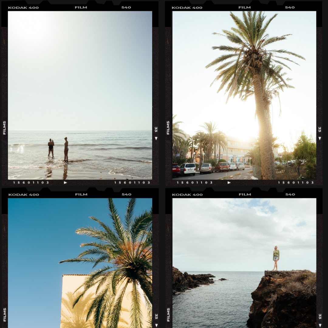 CineSun Film Collection