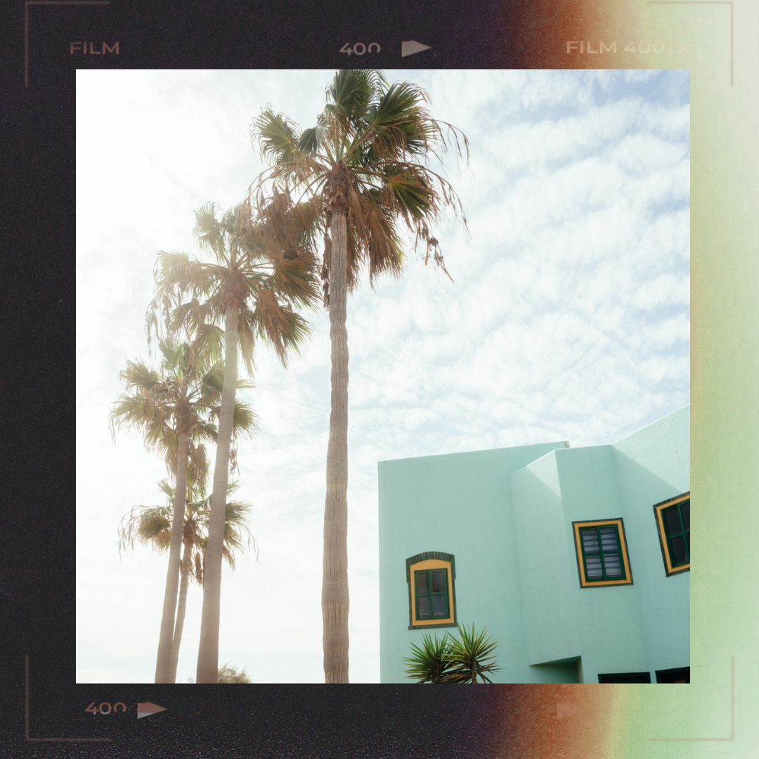 CineSun Film Collection