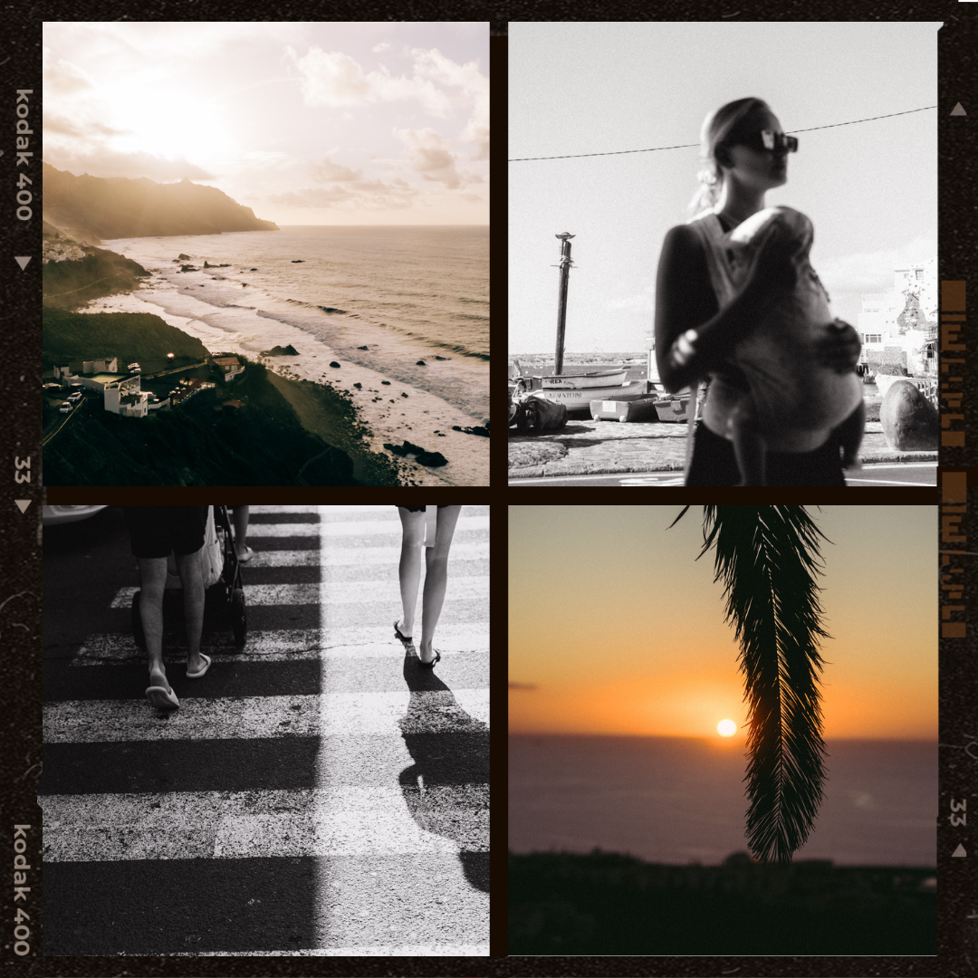 CineSun Film Collection